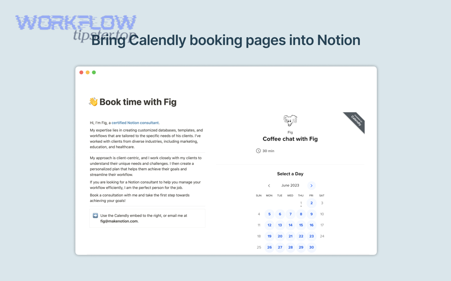 Team-ready Notion workflow after Calendly bookings land in database