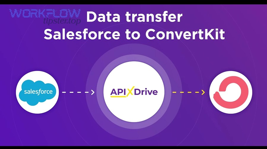 Which automations support nurturing and lifecycle (tags → segments → campaigns)?