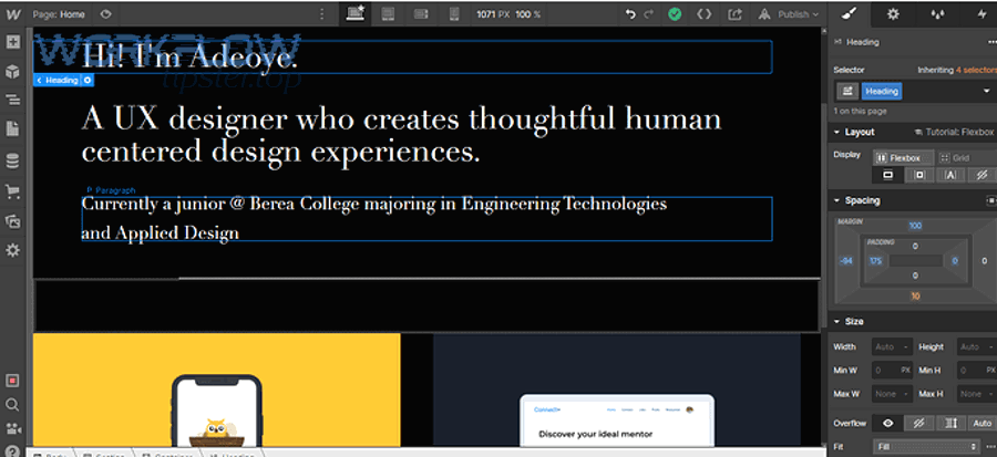 Webflow edit mode preview image