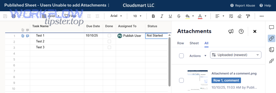 Is the problem caused by file size, file type, or plan limits?