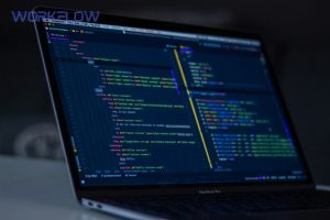 photo 1555066931 4365d14bab8c